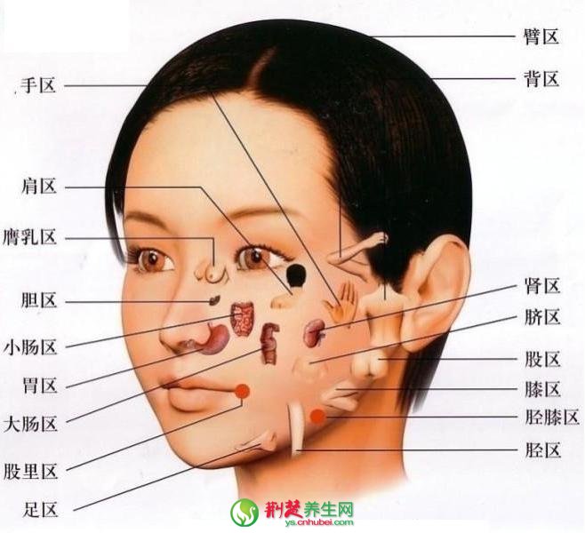 五官与五脏之间有着极为密切的联系,有"鼻为肺之官,目为肝之官,口唇为